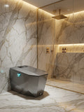 Nelsmann Toilette intelligente Luxury Edition