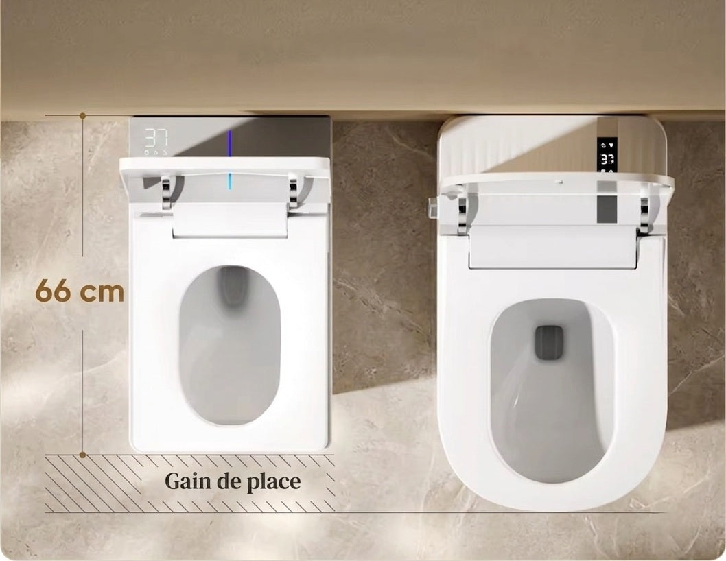 Comparaison de la Toilette Japonaise Nelsmann Gris avec une toilette classique