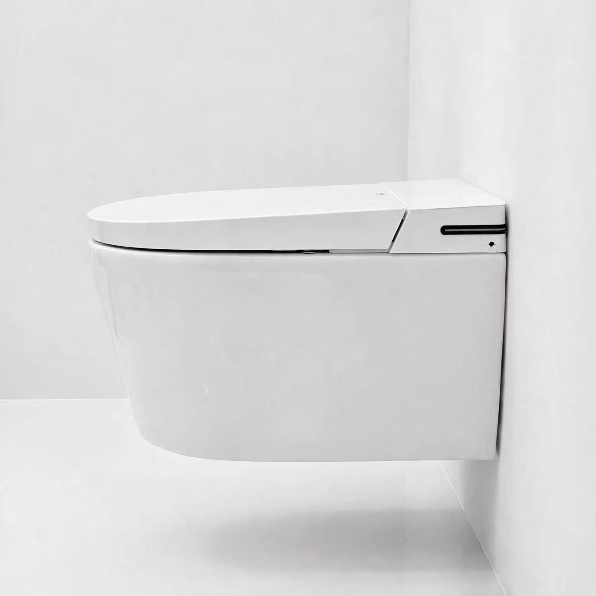 toilette japonaise intelligent suspendu nelsmann sortie horizontale 