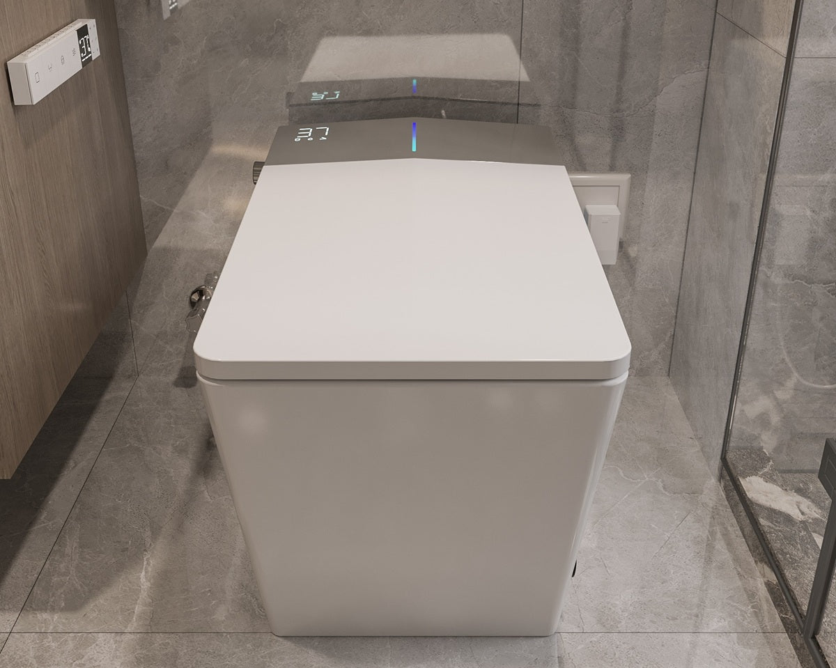 Vue de devant sur la Toilette Japonaise Nelsmann Gris avec bidet lavant et télécommande