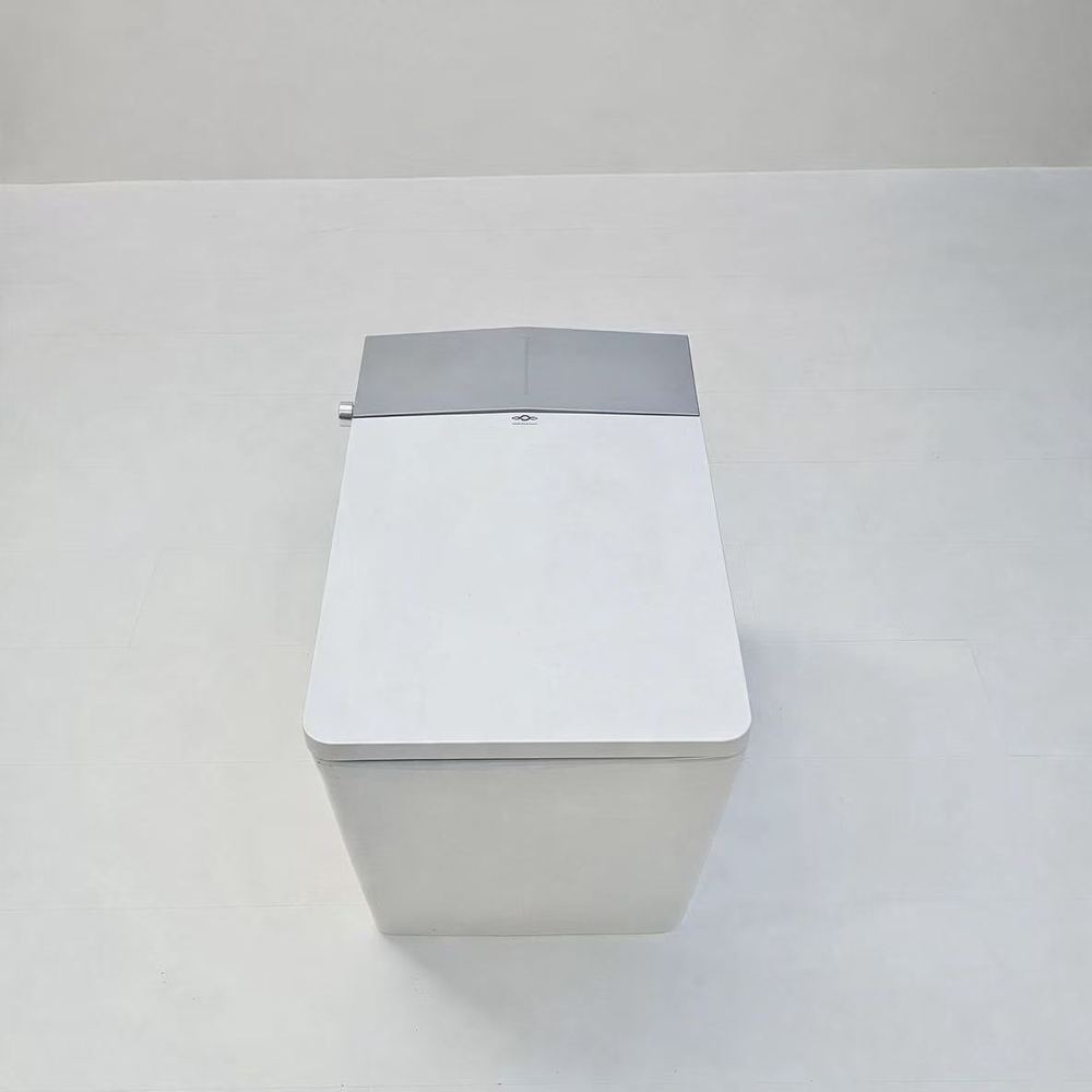 vue du dessus du wc avec jet lavant kaku Nelsmann