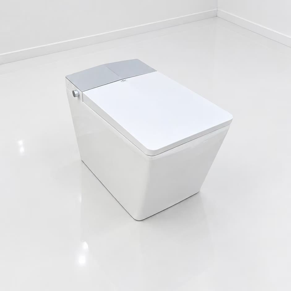vue de loin de la toilette japonaise nelsmann kaku gris