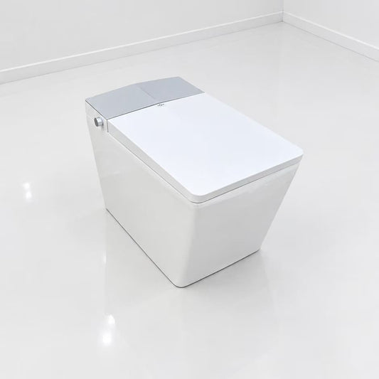 vue de loin de la toilette japonaise nelsmann kaku gris