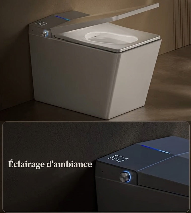 Éclairage allumé de la Toilette Japonaise Nelsmann Gris vue de nuit